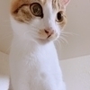 mam catさんのプロフィール画像