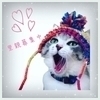 at.catsさんのプロフィール画像