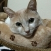 ミルキーさんのプロフィール画像