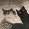 三味猫さんのプロフィール画像