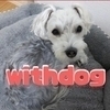 withdogさんのプロフィール画像
